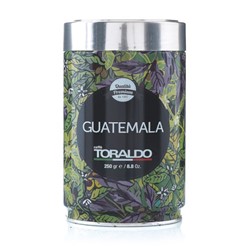 toraldo guatemala